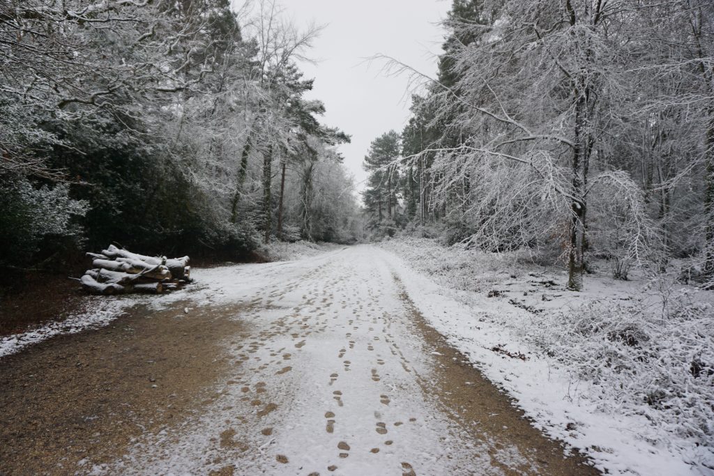 Setthorns Campsite in February